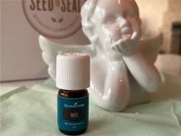 YoungLiving Basil Basilikum ätherische Öle NEU 5ml Hessen - Schlüchtern Vorschau