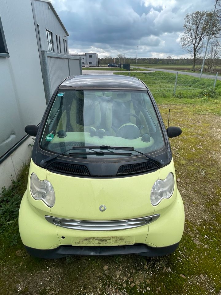 Smart Fortwo in Geeste