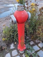 Hydrant Rot Gusseisen Wasserhydrant Feuerwehr Feuerwehrhydrant Löschwasser Wasser Leipzig - Liebertwolkwitz Vorschau