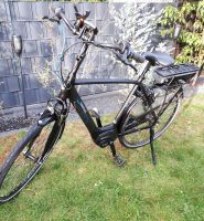 Gazelle Arroyo C7+ 500 Wh 28 Zoll schwarz 3 Jahre Nordrhein-Westfalen - Emmerich am Rhein Vorschau