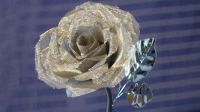 ROSE VERCHROMT - EXCLUSIVER VITRINENSCHMUCK - EINZELSTÜCK Rheinland-Pfalz - Budenheim Vorschau