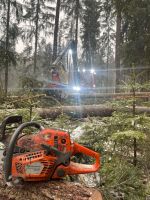 Holzaufarbeitung, Sturmholz, Käfer, Schneebruch Bayern - Selb Vorschau