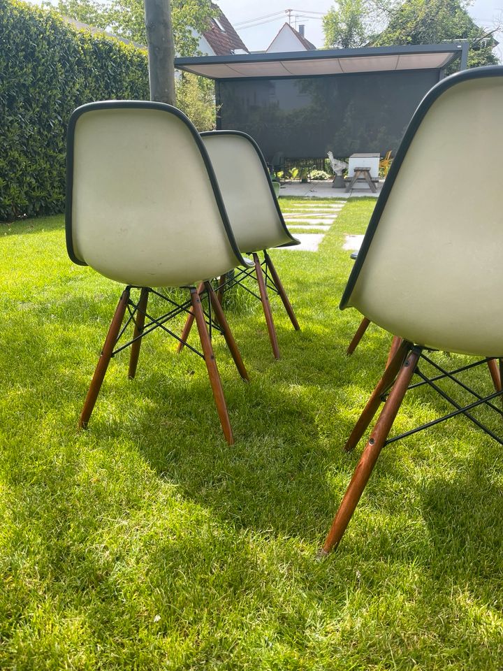 6x Vitra Herman Miller Eames Side Chair DSW Fiberglas in Metzingen