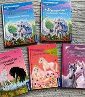 Sternenschweif Sternenfohlen Erstleser Einhorn Bücher Buch Nordrhein-Westfalen - Hennef (Sieg) Vorschau