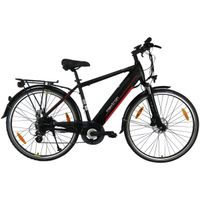 Maxtron MT-11 Trekking - NEU- E-Bike Sonderangebot Niedersachsen - Jever Vorschau