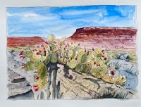 Kakteen vor Canyon in den USA Aquarell Nordrhein-Westfalen - Neuss Vorschau