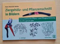 Möller,ziergehölz-und Pflanzenschnitt in Bildern Brandenburg - Zichow Vorschau