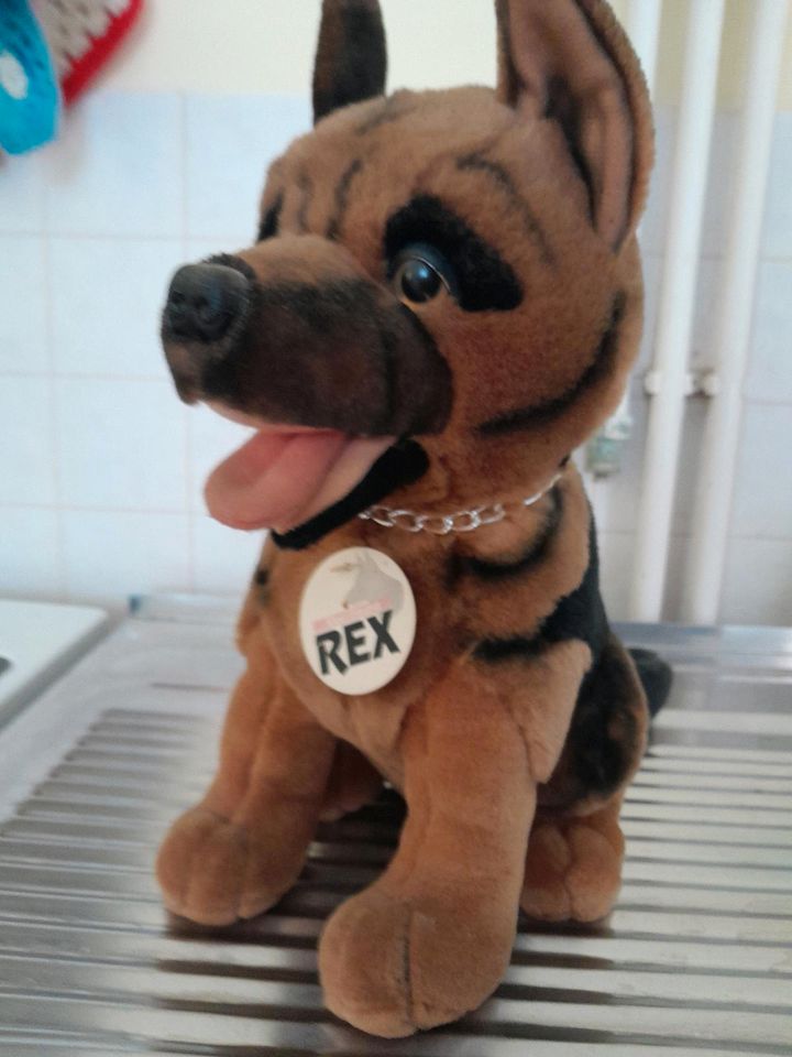Plüschhund Rex in Bärenstein