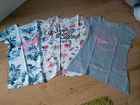 T Shirts gr.170 gr. S H&M Tom Tailor Nordrhein-Westfalen - Nettetal Vorschau