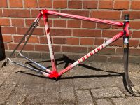 Chesini X-UNO SLPX Aero Rahmenset RH 50cm Rennrad Vintage Niedersachsen - Weyhe Vorschau