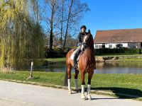 Mobiler Reitunterricht im Raum Velbert und Umgebung Nordrhein-Westfalen - Velbert Vorschau