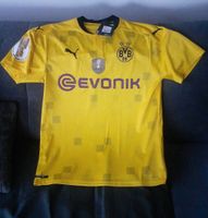Bvb Borussia Dortmund Trikot Baden-Württemberg - Erbach Vorschau