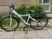 Winora Fahrrad 26 Zoll Steele / Kray - Essen Freisenbruch Vorschau