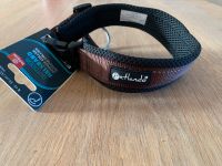 Petlando Hundehalsband Outdoor Halsband Größe M - NEU Bayern - Senden Vorschau