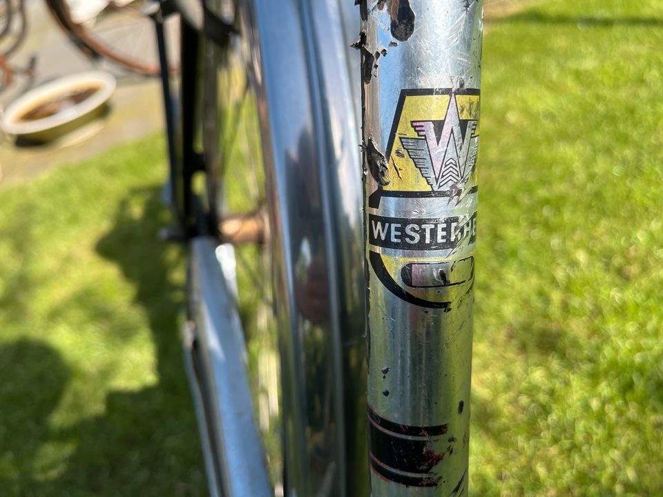 Vintage Damenfahrrad Westerheide in Holdorf