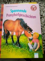 Der Bücherbär Erstleser Buch Ponyhof Geschichten Thüringen - Dingelstädt Vorschau