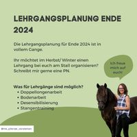 Lehrgang Doppellonge Bodenarbeit Stangenarbeit Niedersachsen - Achim Vorschau