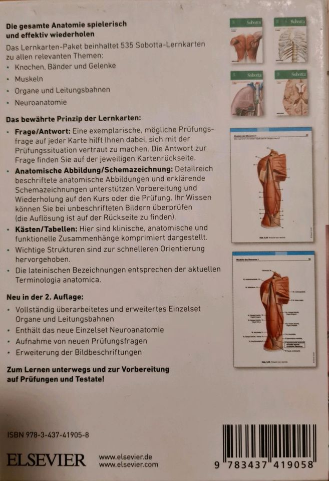 Sobotta Lernkarten Anatomie (Elsevier) in Potsdam