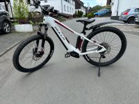 E-Bike BULLS Aminga EVA 2 27,5+ (313 km) Nordrhein-Westfalen - Lennestadt Vorschau