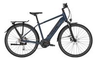 Raleigh Kent 9 (L) SONDERPREIS UVP: 3099€ Rheinland-Pfalz - Saarburg Vorschau