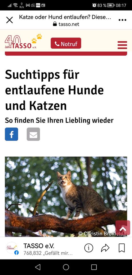 Tasso Suchtipps: Vermisste Tiere ! in Neuss