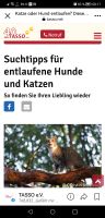 Tasso Suchtipps: Vermisste Tiere ! Nordrhein-Westfalen - Neuss Vorschau