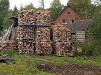 Mischholz in 25 cm länge Niedersachsen - Bissendorf Vorschau