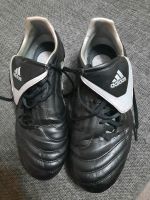 Adidas Fussball Schuhe Gr 42 Sachsen-Anhalt - Salzwedel Vorschau