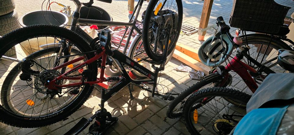 1   Fahrrad 26 zoll in Nordhastedt