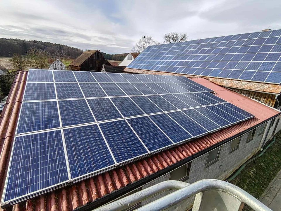 Moos- und Flechtenentfernung Ökologische PV- & Solarreinigung in Windischeschenbach