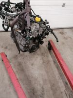 MOTOR RENAULT H5F412 1.2 TCE KOMPLETT Nordrhein-Westfalen - Ratingen Vorschau