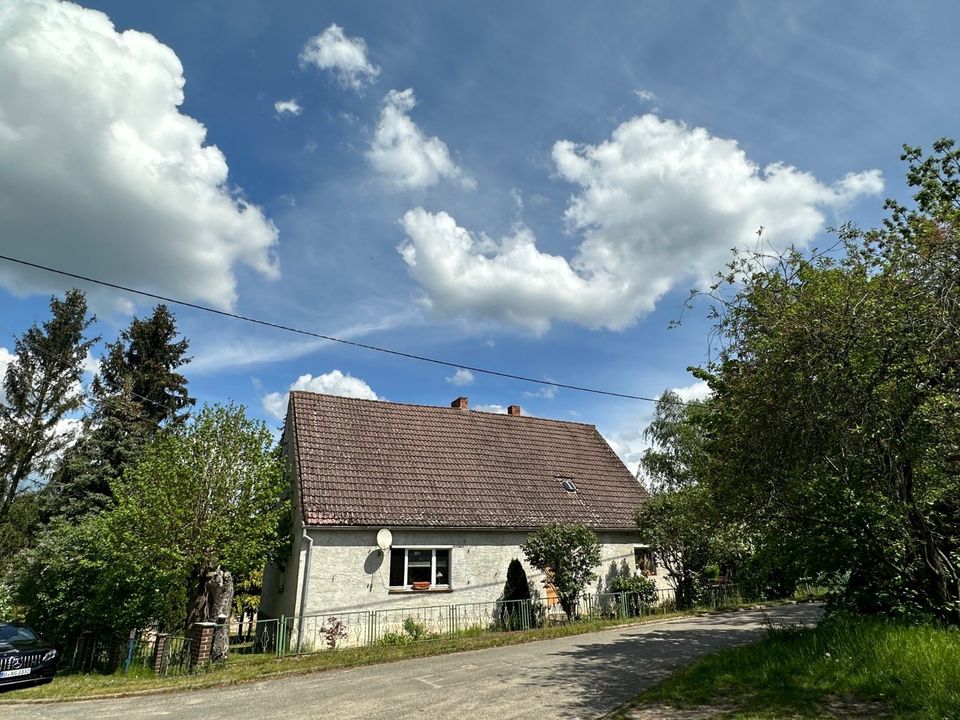 Bauernhaus im Spreewald mit großem Grundstück und einer Scheune zu verkaufen! in Byhleguhre-Byhlen