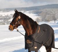 Eskadron Heritage Softshell Decke schwarz Sachsen - Bockau Vorschau