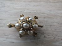 Brosche Schildkröte goldfarben mit Perlen u. Steinen Modeschmuck Niedersachsen - Stuhr Vorschau