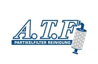 VW Caddy T5 T6 Touran Tiguan Crafter Partikelfilter Reinigung Münster (Westfalen) - Hiltrup Vorschau