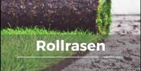 Rollrasen,Rasen,Garten,Pflanzen,Gartenbau,Hecke, Kr. Dachau - Odelzhausen Vorschau
