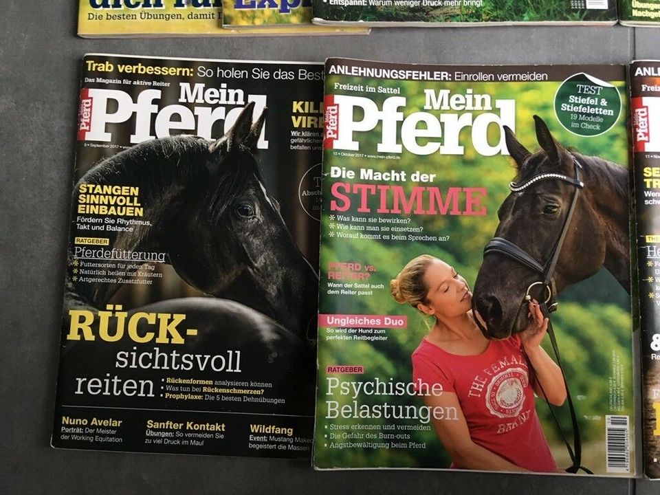8 Mein Pferd Zeitschriften April-Dezember 2017 in Eltville