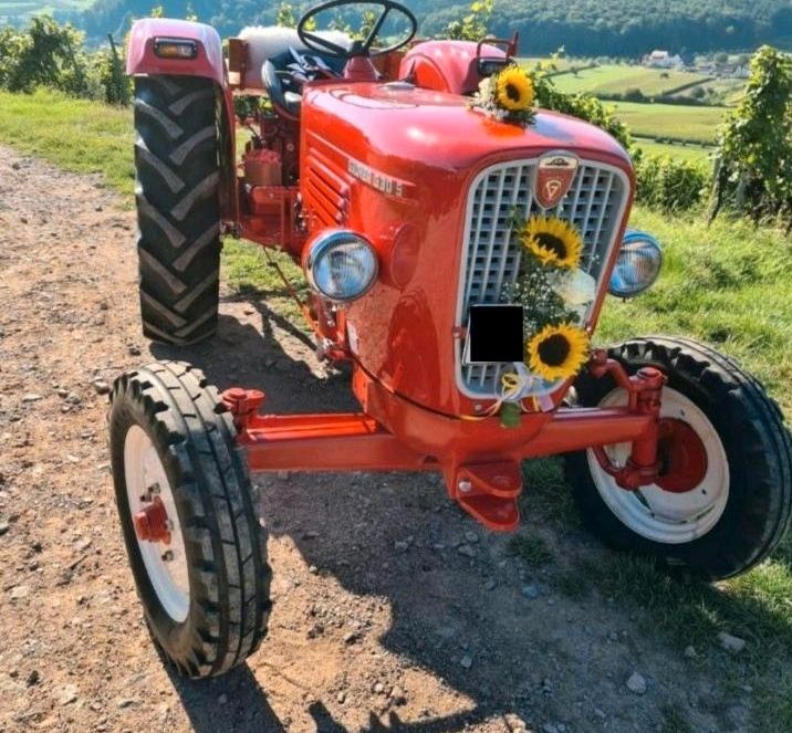 Suche Güldner Traktor G60 oder G75 Linde in Freiburg im Breisgau