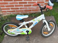 Ghost Kinder Mountainbike 16 Zoll Lieferung Thüringen - Nordhausen Vorschau