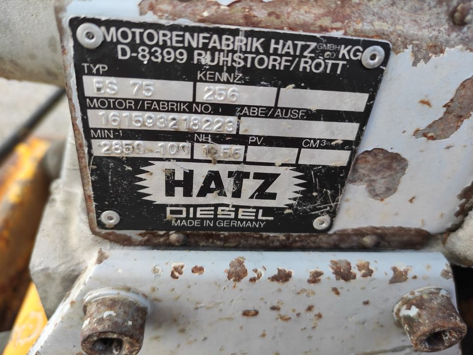 Rüttelplatte Wacker DPS 3050, Hatz Motor ES 75 in St. Oswald