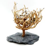 ❤ Garnelen Bäumchen Bonsai Baum Deko 4,90 €* Bayern - Velburg Vorschau