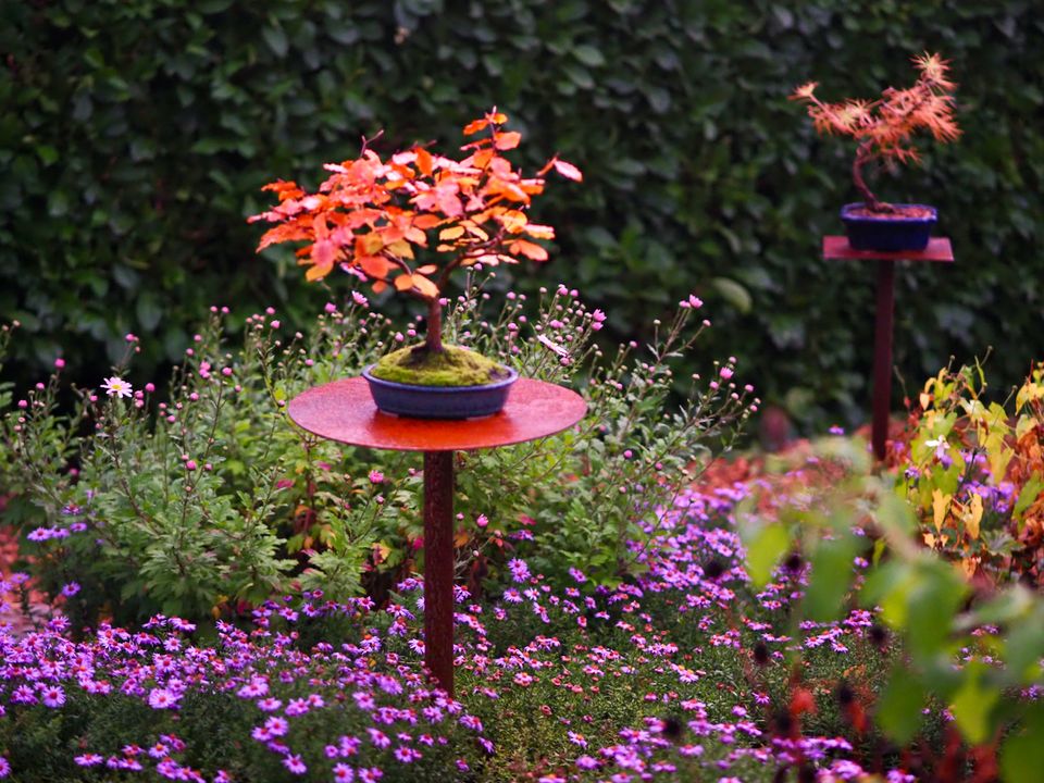 Bonsaiständer Metall Bonsai Ständer Pflanzenständer drehbar in Osterholz-Scharmbeck