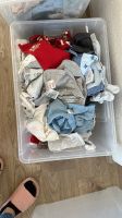 Bodies/schlafanzüge/hosen/shirts gr 50/56 Nordrhein-Westfalen - Erftstadt Vorschau