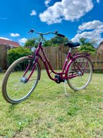 Excelsior Swan Retro Damenfahrrad lila/ magenta Niedersachsen - Winsen (Aller) Vorschau