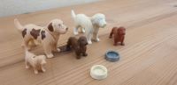 Playmobil, Hunde Hessen - Edertal Vorschau