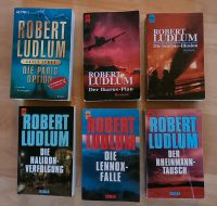 Thriller Paket mit 6 Büchern von Robert Ludlum Baden-Württemberg - Ostfildern Vorschau