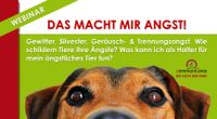 der Angst bei Hunden begegnen und bewältigen | Onlineseminar Bayern - Rieden a. Forggensee Vorschau
