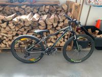 Zu Verkaufen: Jungen Mountainbike Nordrhein-Westfalen - Winterberg Vorschau