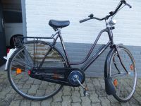 Fahrrad Sparta Holland 28 Zoll neuwertig Nordrhein-Westfalen - Selfkant Vorschau