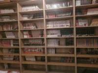 verschiedene kurze Manga-Serien zu VK (individueller VB-Preis) Hamburg - Bergedorf Vorschau